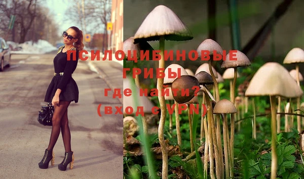 мет Алексеевка