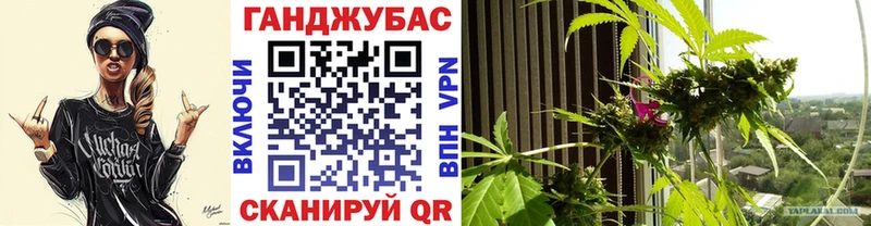 МАРИХУАНА планчик  ссылка на мегу сайт  Тихвин 