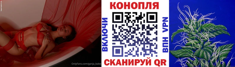 Шишки марихуана OG Kush Тихвин